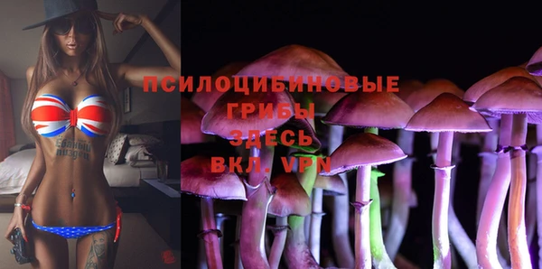 ALPHA PVP Алексин