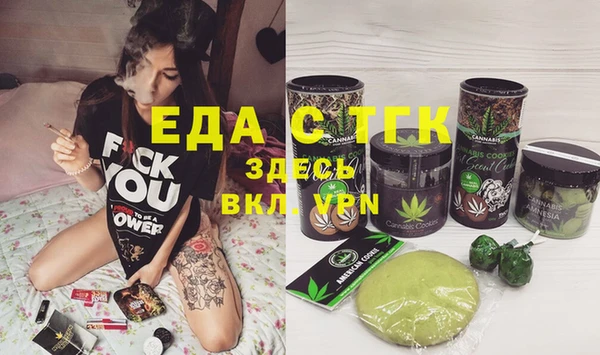 индика Абаза