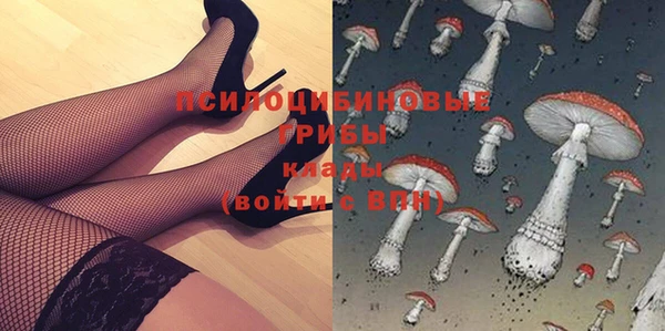 PSILOCYBIN Алексеевка