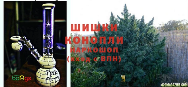 PSILOCYBIN Алексеевка